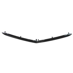 2012-2014 Acura Tl - Lower Grille Molding - AC1216101