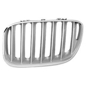 BMW X5 2004-2006 Driver Side Grille - BM1200159