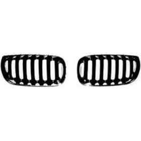 BMW X3 2005-2006 Driver Side Grille - BM1200170