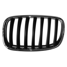 2007-2013 Bmw X5 - Driver Side Grille - BM1200180