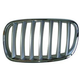 BMW X5 2007-2013 Driver Side Grille - BM1200182
