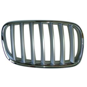 BMW X5 2007-2013 Passenger Side Grille - BM1200183