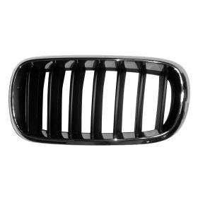 BMW X5 2014-2018 Driver Side Grille - BM1200268