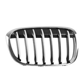2016-2019 Bmw X1 - Passenger Side Grille - BM1200291