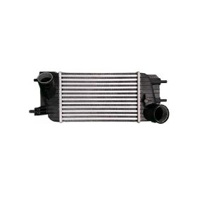 2011-2017 Nissan Juke - Turbocharger Intercooler/charge Air Cooler 1.6l L4 Turbo - CAC010041