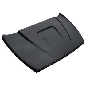 Dodge Pickup Ram1500 2002-2008 Cowl Hood Panel - EFXDG02V1