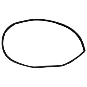 2012-2018 FORD FOCUS ELECTRIC Front Door Seal - FO1390166