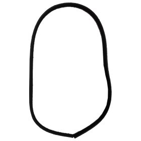 2012-2018 Ford Focus - Rear Door Seal - FO1590107