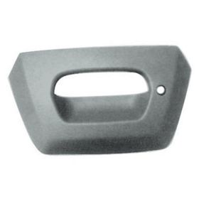 Chevrolet Avalanche 2002 Tailgate Handle Bezel - GM1916104
