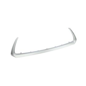 2014-2017 Lexus Ct200h - Front Lower Bumper Cover Grille Molding - LX1044107