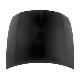 Lexus Gs350 2006 Hood Panel - LX1230106