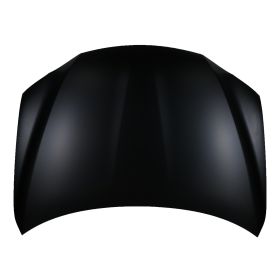 2011-2017 Lexus Ct200h - Hood - LX1230120