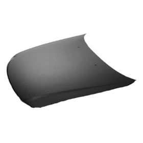 Toyota Avalon 2000-2004 Hood Panel - TO1230181