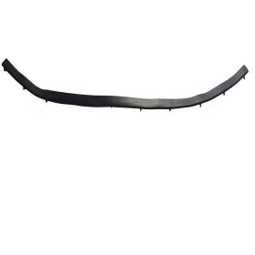 Toyota Camry 2018-2019 Front Hood Seal - TO1235110